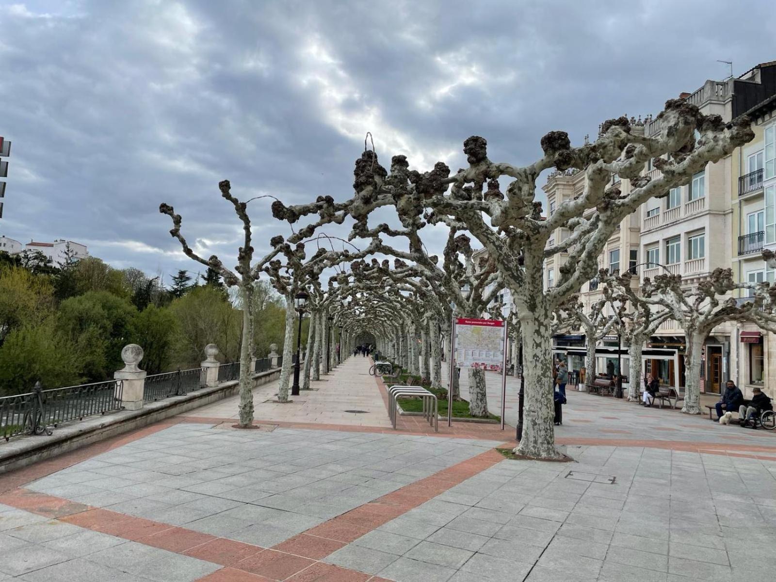 El Farolillo De La Catedral Vivienda De Uso Turistico Vut 9/251 Διαμέρισμα Burgo Εξωτερικό φωτογραφία